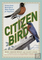 Citizen Bird
