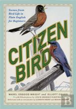 Citizen Bird