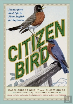 Bertrand.pt - Citizen Bird