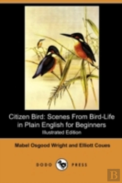 Bertrand.pt - Citizen Bird: Scenes From Bird-Life In P