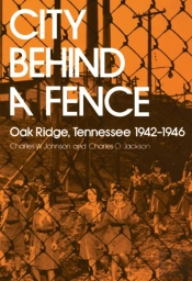 City Behind Fence