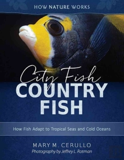 Bertrand.pt - City Fish Country Fish