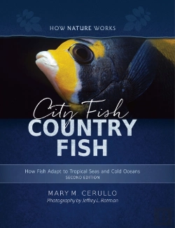 Bertrand.pt - City Fish Country Fish
