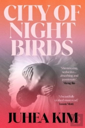 City Of Night Birds