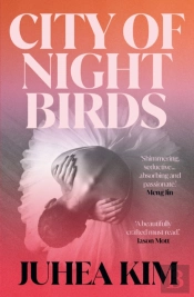 City Of Night Birds