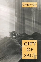 City Of Salt