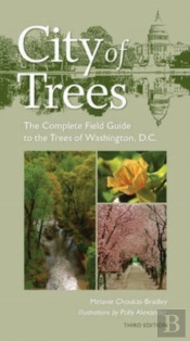 City Of Trees
