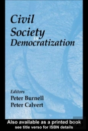 Civil Society In Democratization