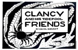 Bertrand.pt - Clancy & Tidepool Friends