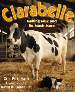 Bertrand.pt - Clarabelle