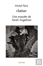Clarisse : Une Enquête De Sarah Angelman