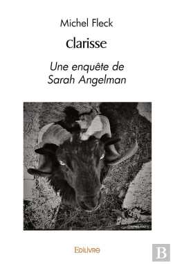 Bertrand.pt - Clarisse : Une Enquête De Sarah Angelman