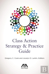 Class Action Strategy & Practice Guide