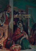Class And Community In Provincial Ireland, 1851â€“1914