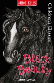 Classic Black Beauty