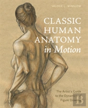 Classic Human Anatomy In Motion