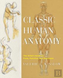 Classic Human Anatomy