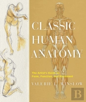 Classic Human Anatomy