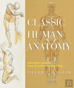 Bertrand.pt - Classic Human Anatomy