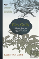 Clay Gully