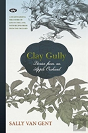 Clay Gully