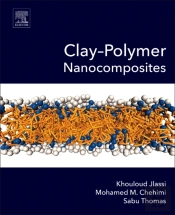Clay-Polymer Nanocomposites