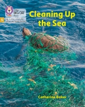 Cleaning Up The Sea