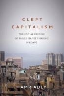 Cleft Capitalism