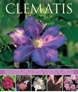 Bertrand.pt - Clematis