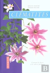 Clematites Comment Les Choisir Et Les Cultiver Facilement