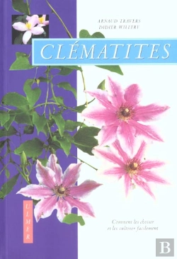 Bertrand.pt - Clematites Comment Les Choisir Et Les Cultiver Facilement
