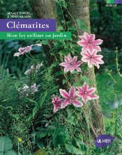 Clematites