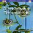 Clematites e Trepadeiras