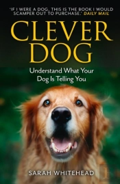 Clever Dog