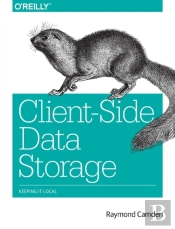 Clientâ€“Side Data Storage