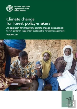 Bertrand.pt - Climate Change For Forest Policy-Makers