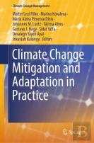 Climate Change Mitigation And Adaptation In Practice