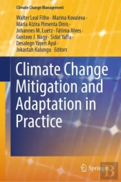 Climate Change Mitigation And Adaptation In Practice