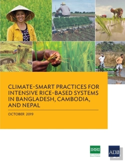 Bertrand.pt - Climate-Smart Practices For Intensive Rice-Based Systems In Bangladesh, Cambodia, And Nepal