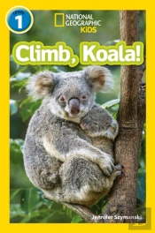 Climb, Koala!