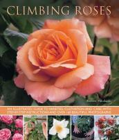 Climbing Roses
