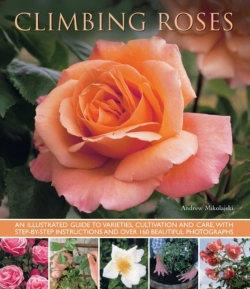 Bertrand.pt - Climbing Roses