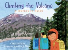 Climbing The Volcano