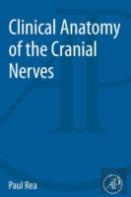 Clinical Anatomy Of The Cranial Nerves