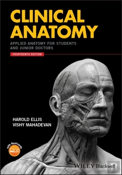 Bertrand.pt - Clinical Anatomy