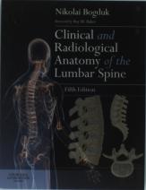 Clinical And Radiological Anatomy Of The Lumbar Spine