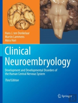 Bertrand.pt - Clinical Neuroembryology