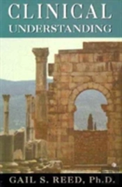 Clinical Understanding (Critical Issues In Psychoanalysis)