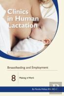 Clinics In Human Lactation: V. 8: Breastfeeding And Employment: Making It Work