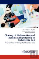 Cloning Of Maltase Gene Of Bacillus Licheniformis In Escherichia Coli